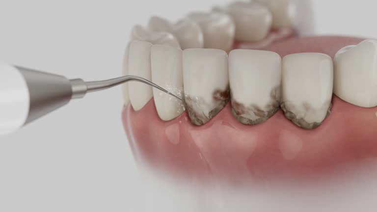 Reliable Dental contractor in Wheaton, MD by Dentist Open Now